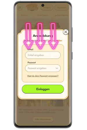 Geben Sie E-Mail und Passwort für Vinyl Casino Login ein
