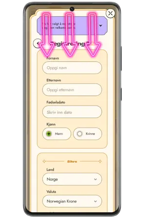 Oppgi dine opplysninger for å fullføre Vinyl Casino Registrering