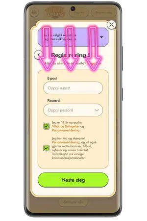 Skriv e-post og passord for Vinyl Casino Registrering