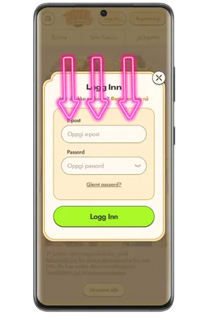 For å fullføre Vinyl Casino Innlogging skriv inn e-post og passord